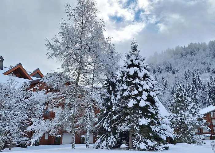 Studio Au Pied Des Remontees/Wifi/Smart Tv/Parking